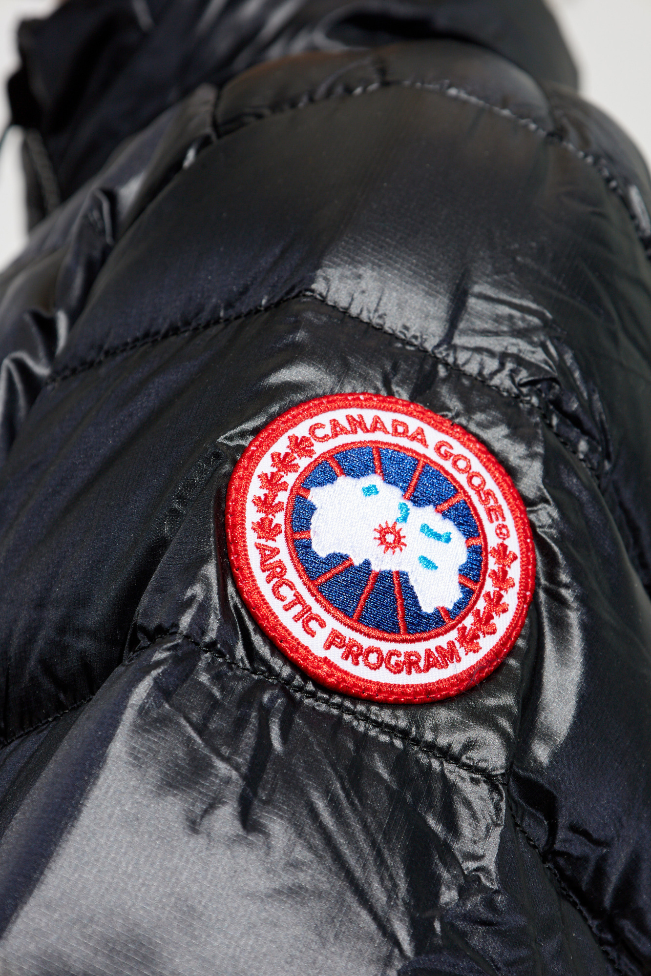 Canada goose synthetic down online